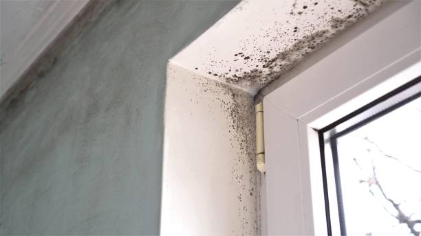 Water Damage Restoration in Union City, MI