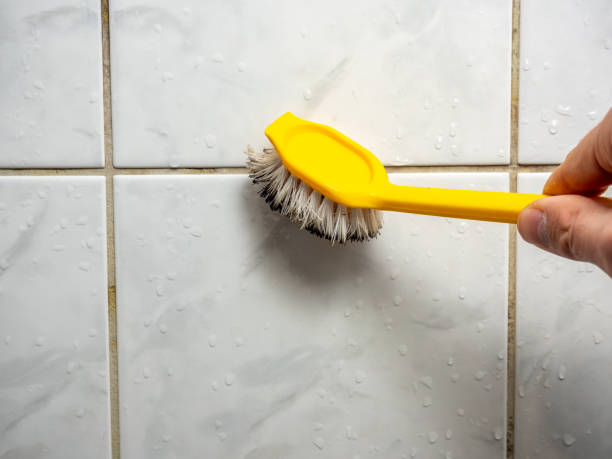 Best Commercial Mold Removal  in Union City, MI