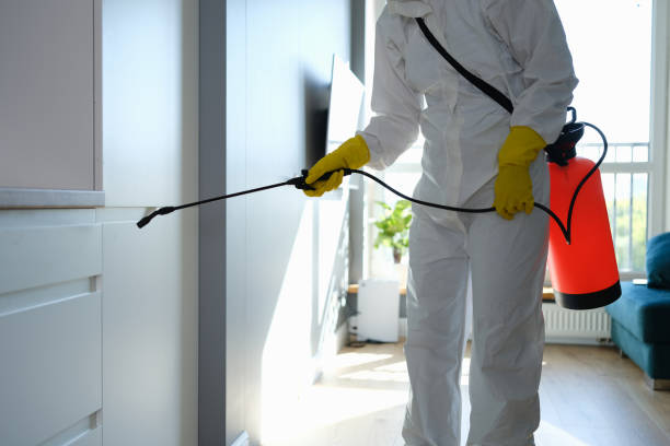 Best Affordable Mold Removal  in Union City, MI